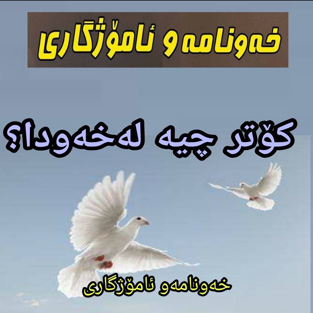 کۆتر چیه له خه ودا ؟... - خەونامەو ئامۆژگاری و ڕێنمایی شەرعی