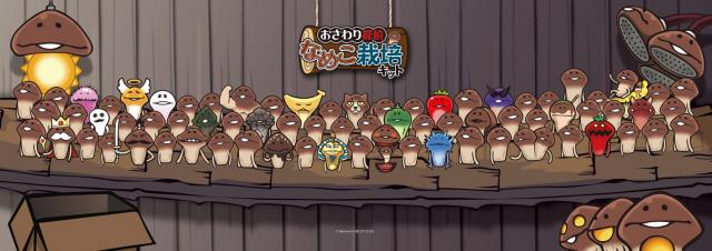 Funghi 蘑菇人方吉
