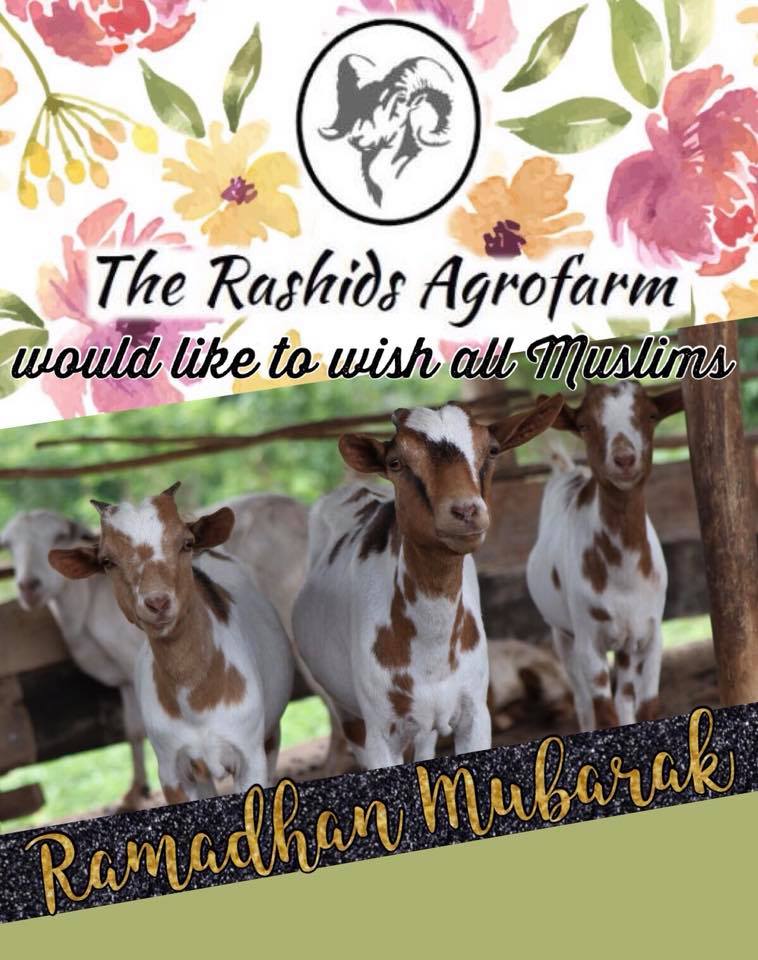 The Rashids Agrofarm