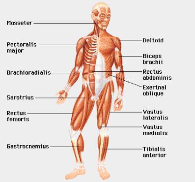 Being Physio Physiotherapy Services | Cuttack