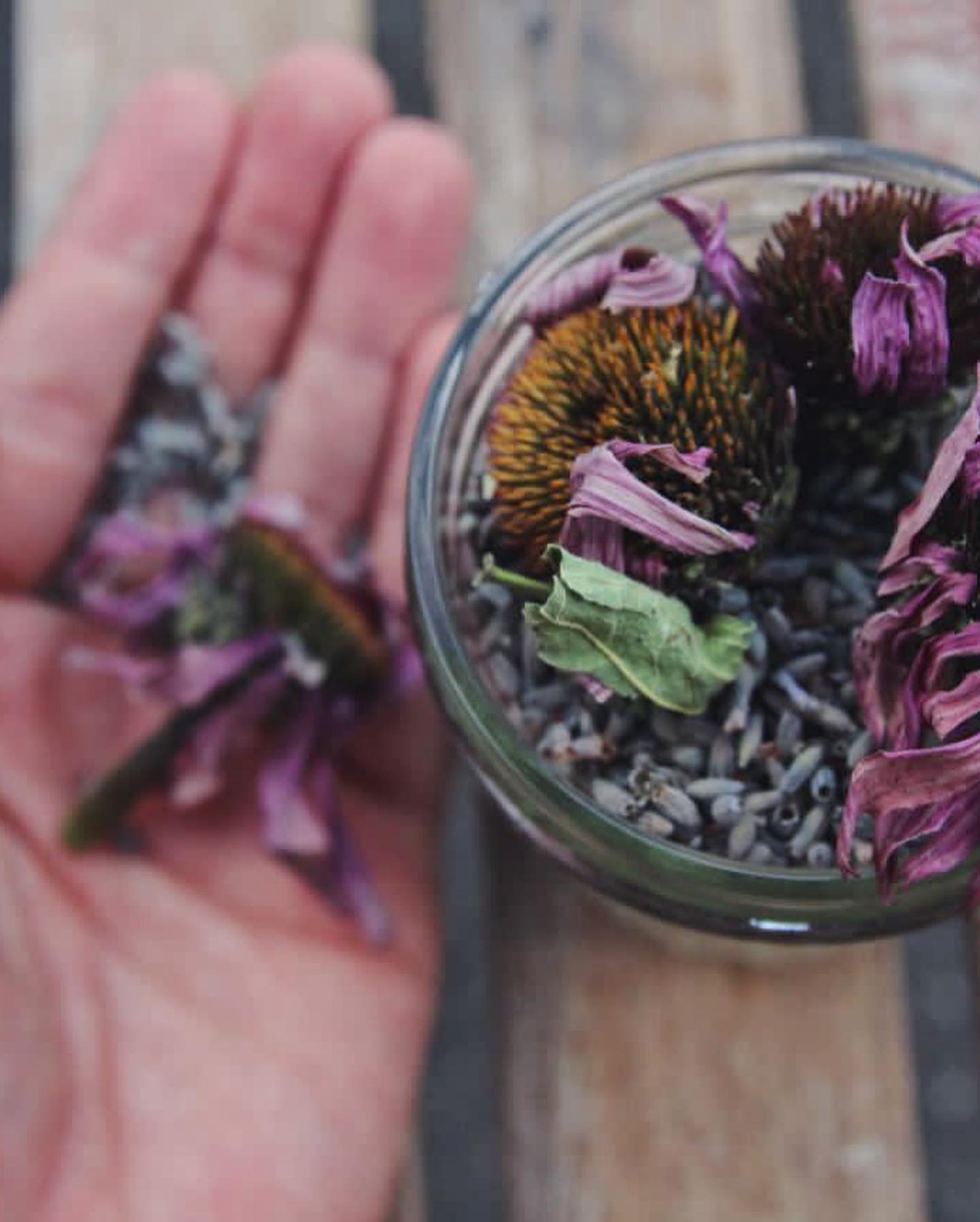 Element Tea