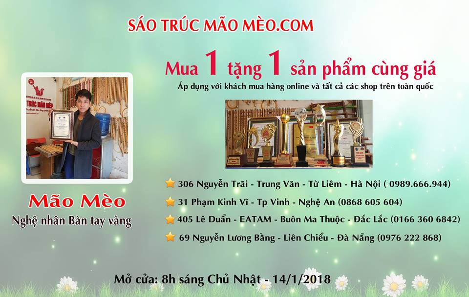 Đại Lý Sáo Trúc Mão Mèo | Hanoi