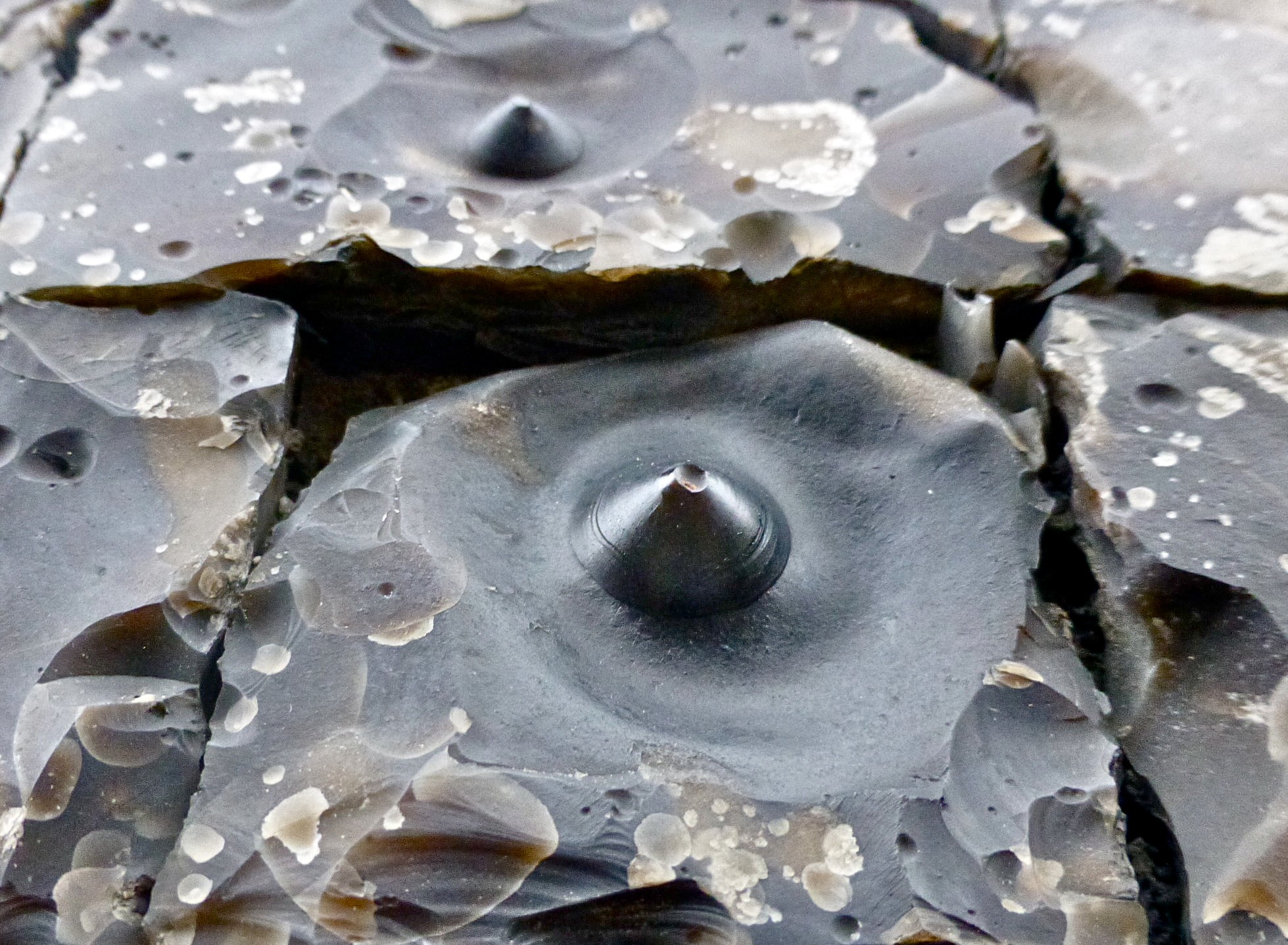 Geologists' Association - Welcome to February and a striking image from ...