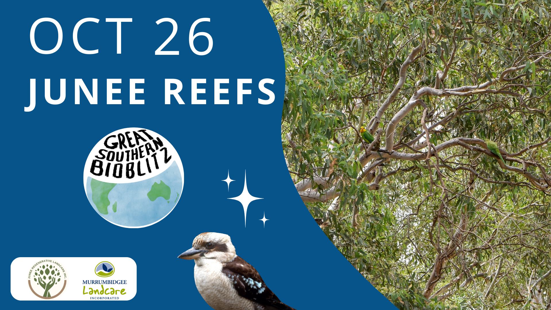 Junee Reefs: Great Southern BioBlitz