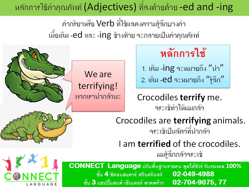 วันนี้เราจะมาสอนเรื่องการใช้คำคุณศัพท์ (Adjectives)... - Connect เรียน ...