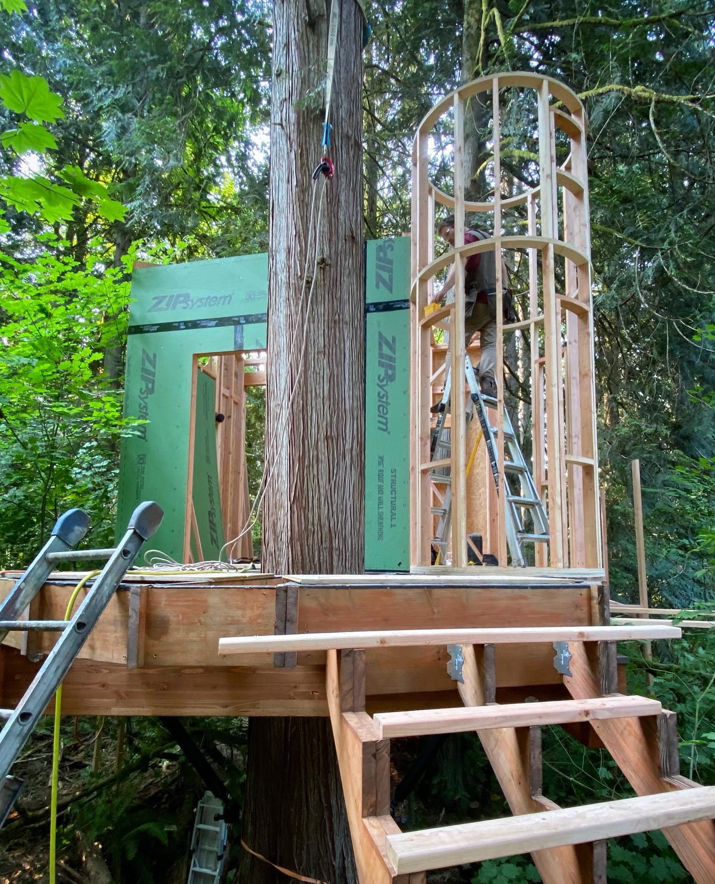 New treehouse underway. This... - Wild Tree Woodworks, LLC