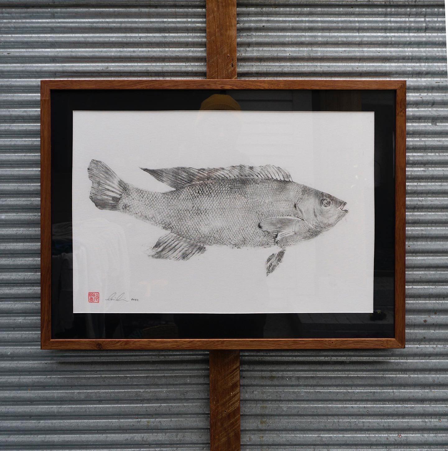 Tim Li Art - Mararī, greenbone, butterfish… what many of... | Facebook