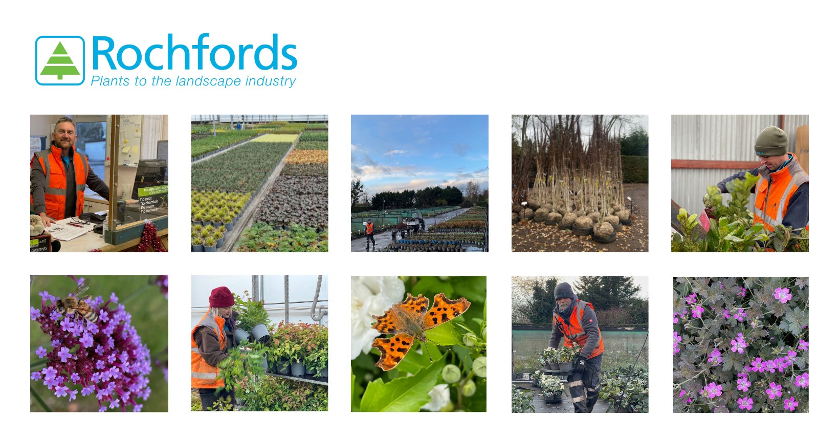 Joseph Rochford Gardens - Home