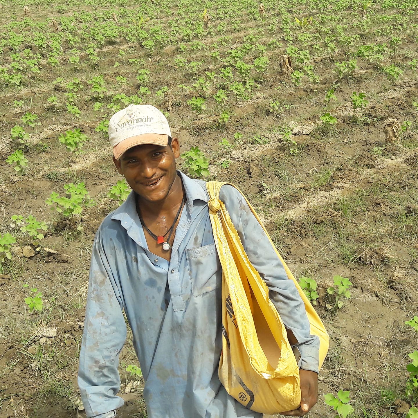 Raja Khan Rajper Better Cotton Grower In Pakistan