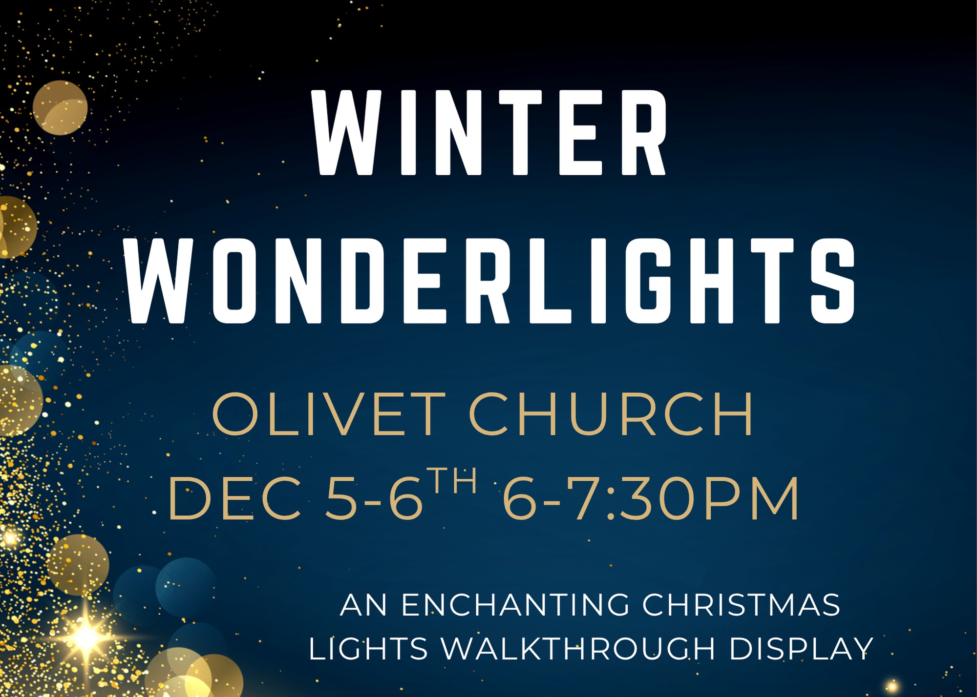 Winter Wonderlights
