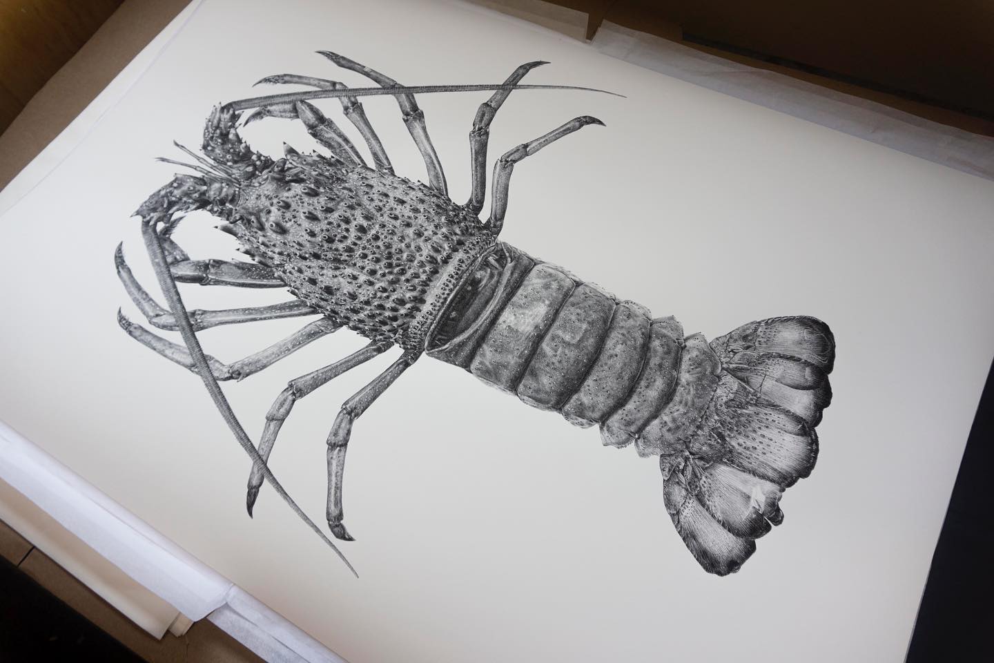 Tim Li Art - So it’s been a long time coming, but te... | Facebook