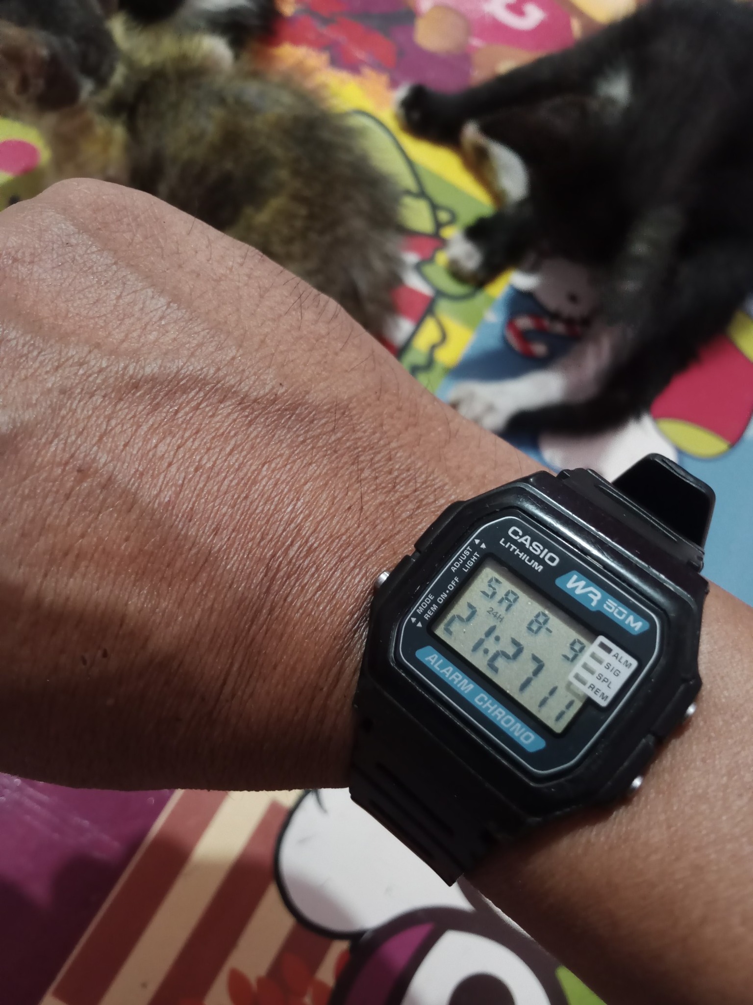 Casio W-84 watch with unique module