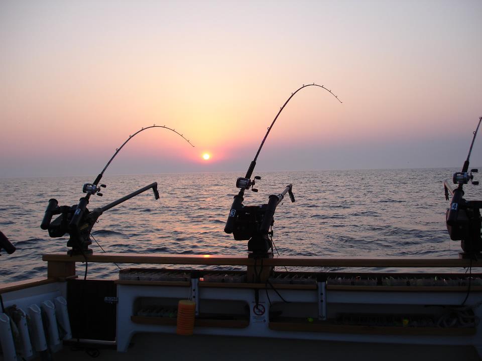 depth finder fishing pole LUCKY Kayak Portable Fish Water Handheld Fish Finder Sonar Castable Kayak Boat Fishfinder Transducer LCD Display FFC1108 : Electronics This portable fish finder Cajun Reclaim Bowfishing Reel light surf reel Color:Sportsman