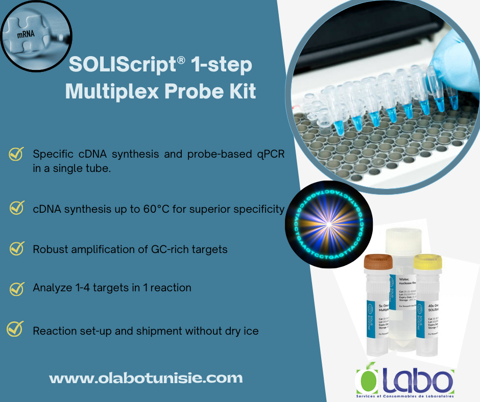 OLABO - 📣📣🥇 SOLIScript® 1-step Multiplex Probe Kit 🎯 Optimisé pour les ...