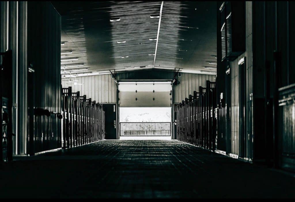 ThorSport Farm - “A barn is a sanctuary in an unsettled...
