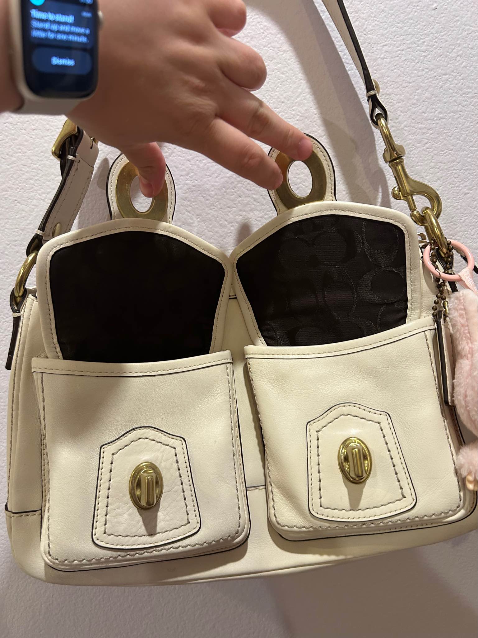 Coach Bags for Sale and Discussion