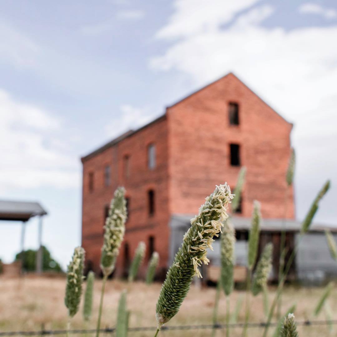 ☀️ Good morning everyone, happy... - Rural City of Wangaratta | Facebook