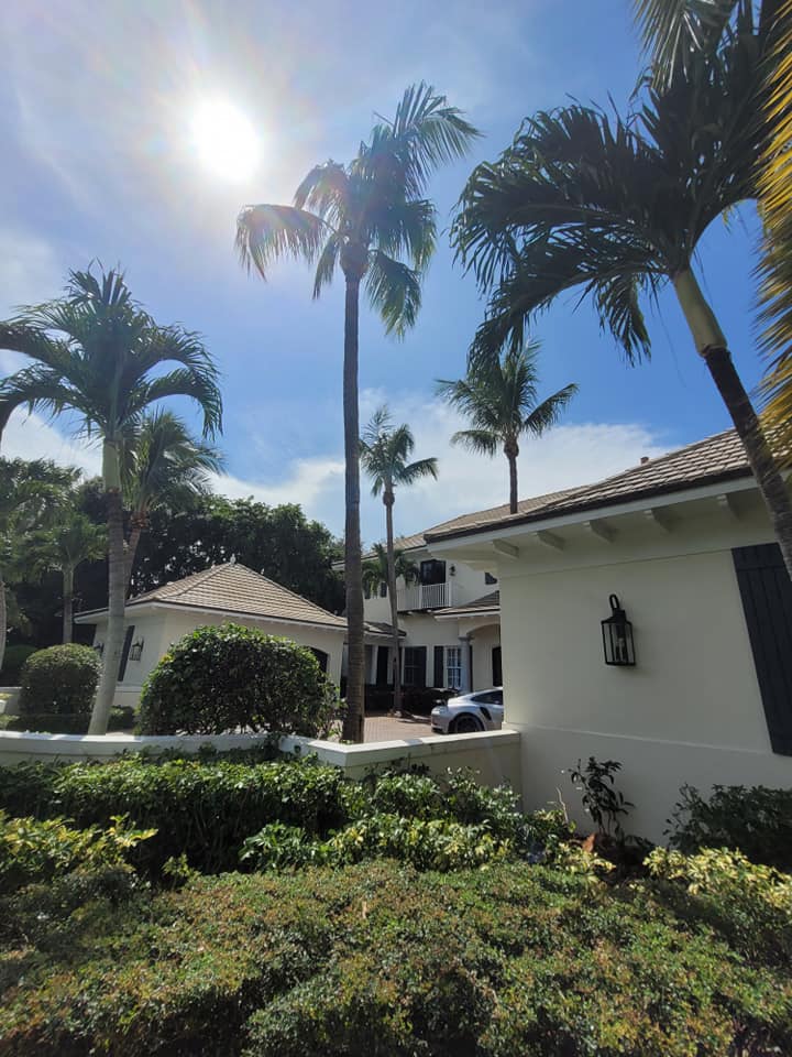 Treasure Coast Tree & Land Services | Vero Beach FL