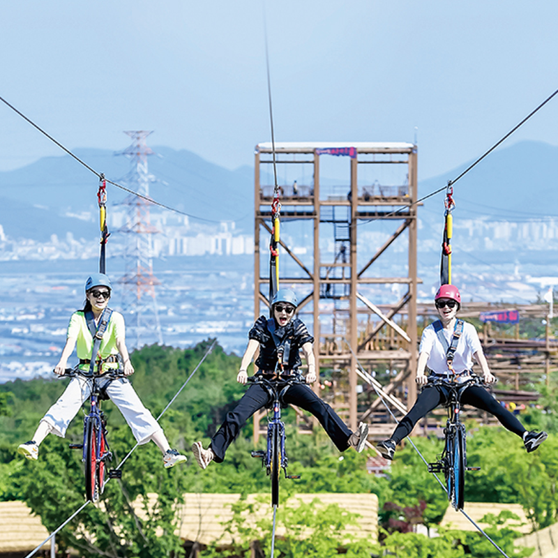 空中 自転車