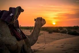 الصالحين عجيلي الصالحين