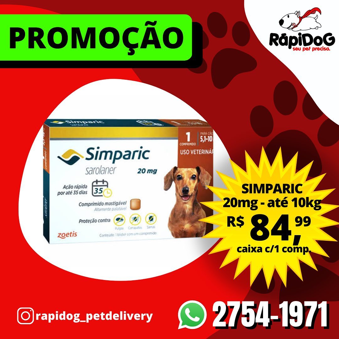Rapidog | São Paulo SP