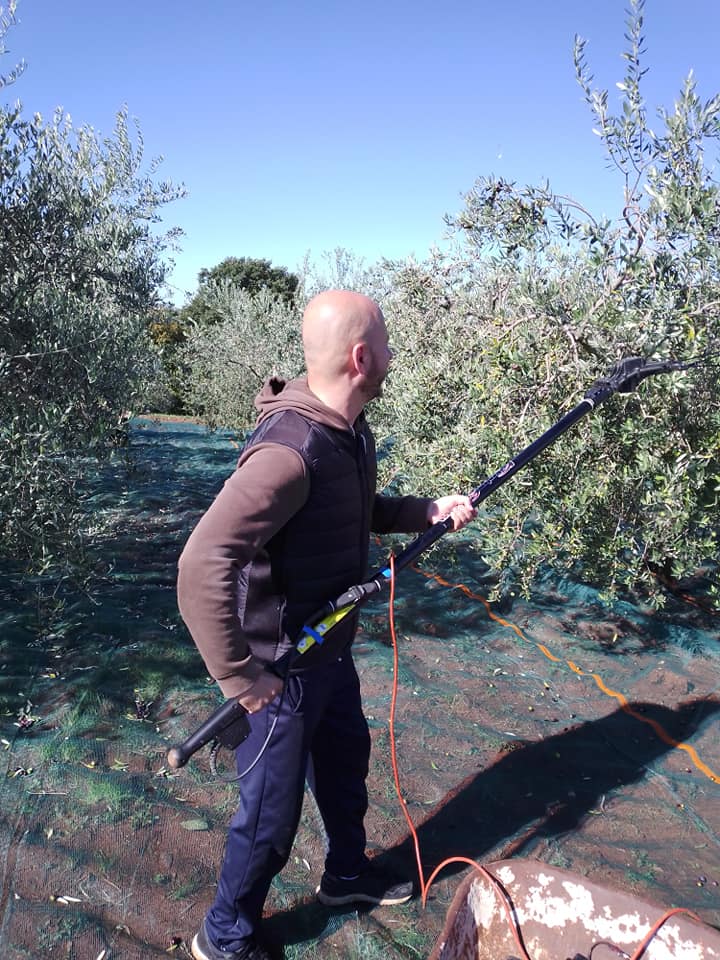 OPG Mario Ritossa | Porec