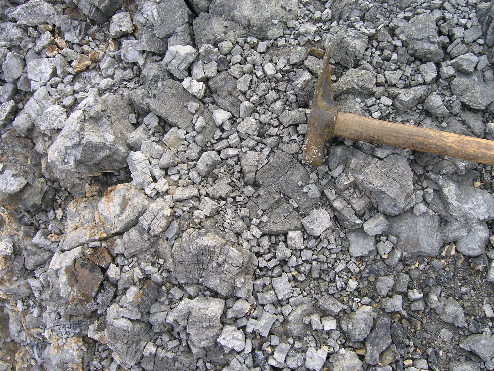 Rogue Geoscience