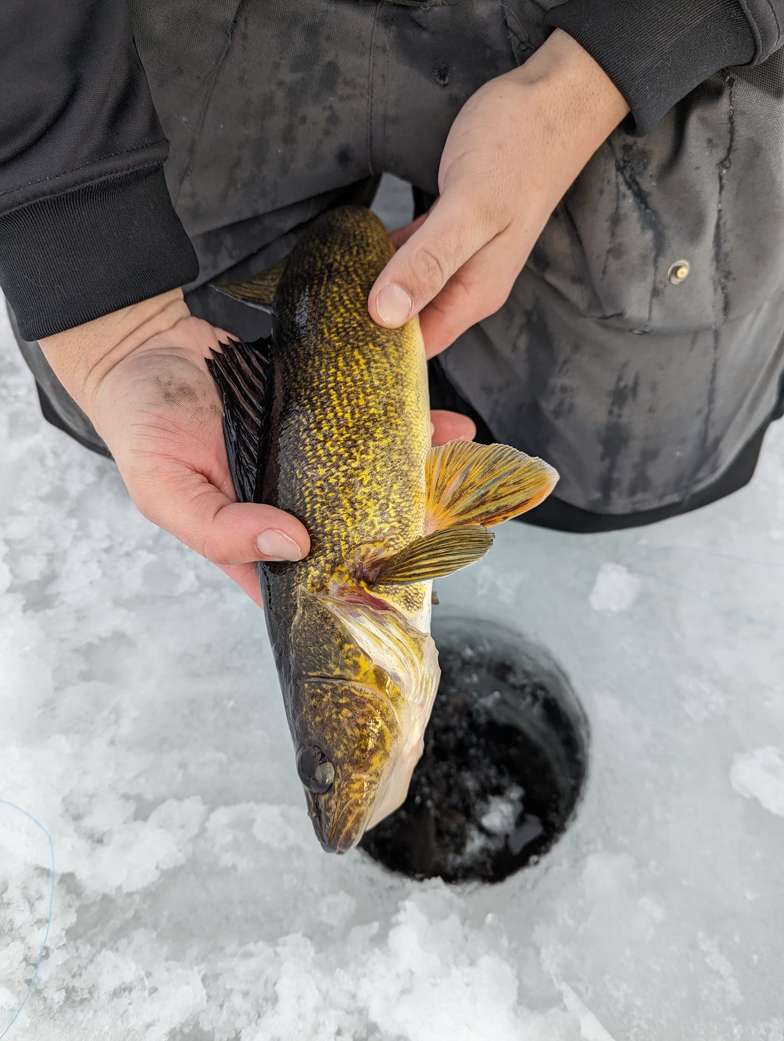 Dilly Gills Custom Rods | Wausau WI