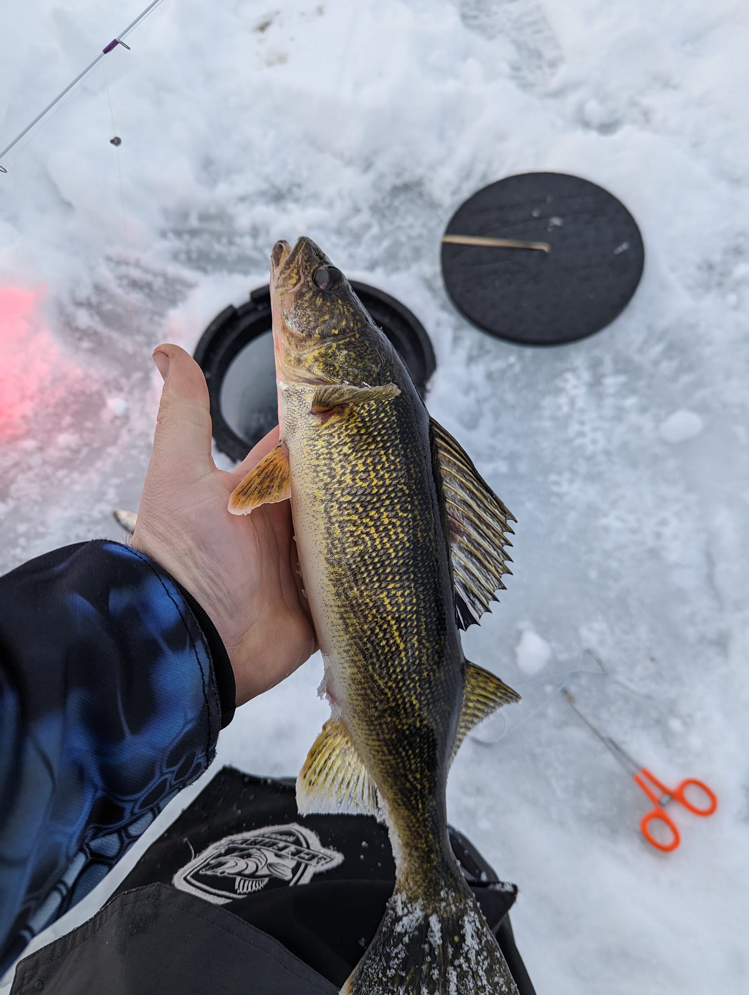 Dilly Gills Custom Rods | Wausau WI