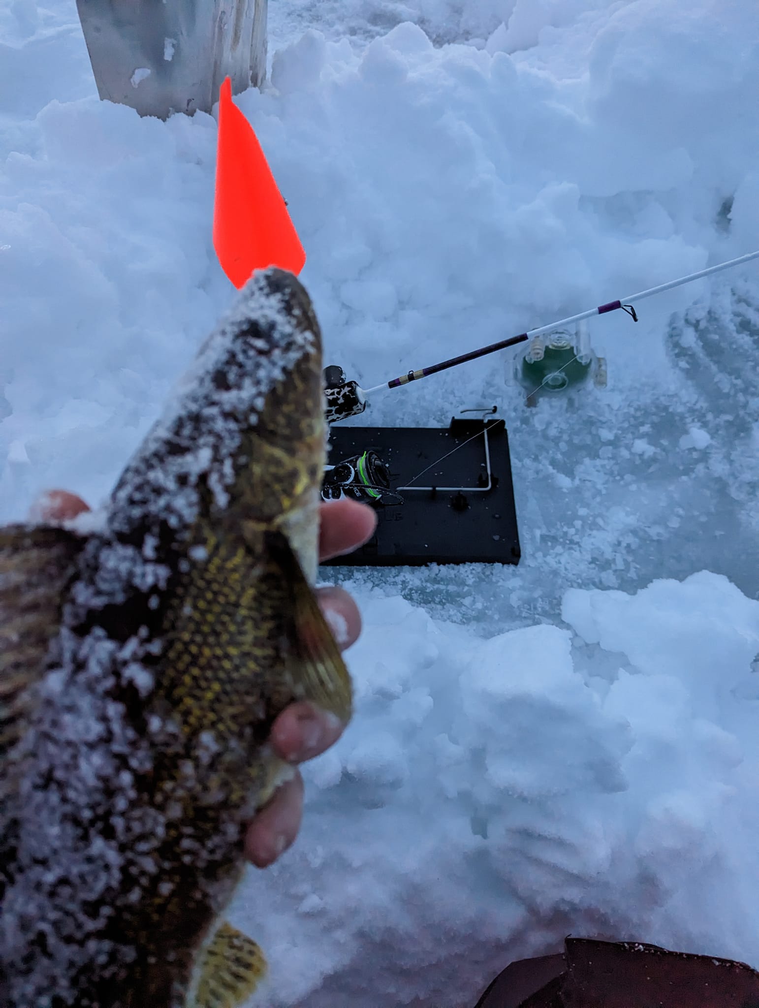 Dilly Gills Custom Rods | Wausau WI