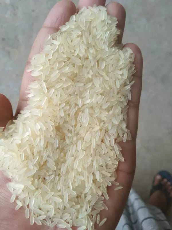 Shree Durga auto rice mill