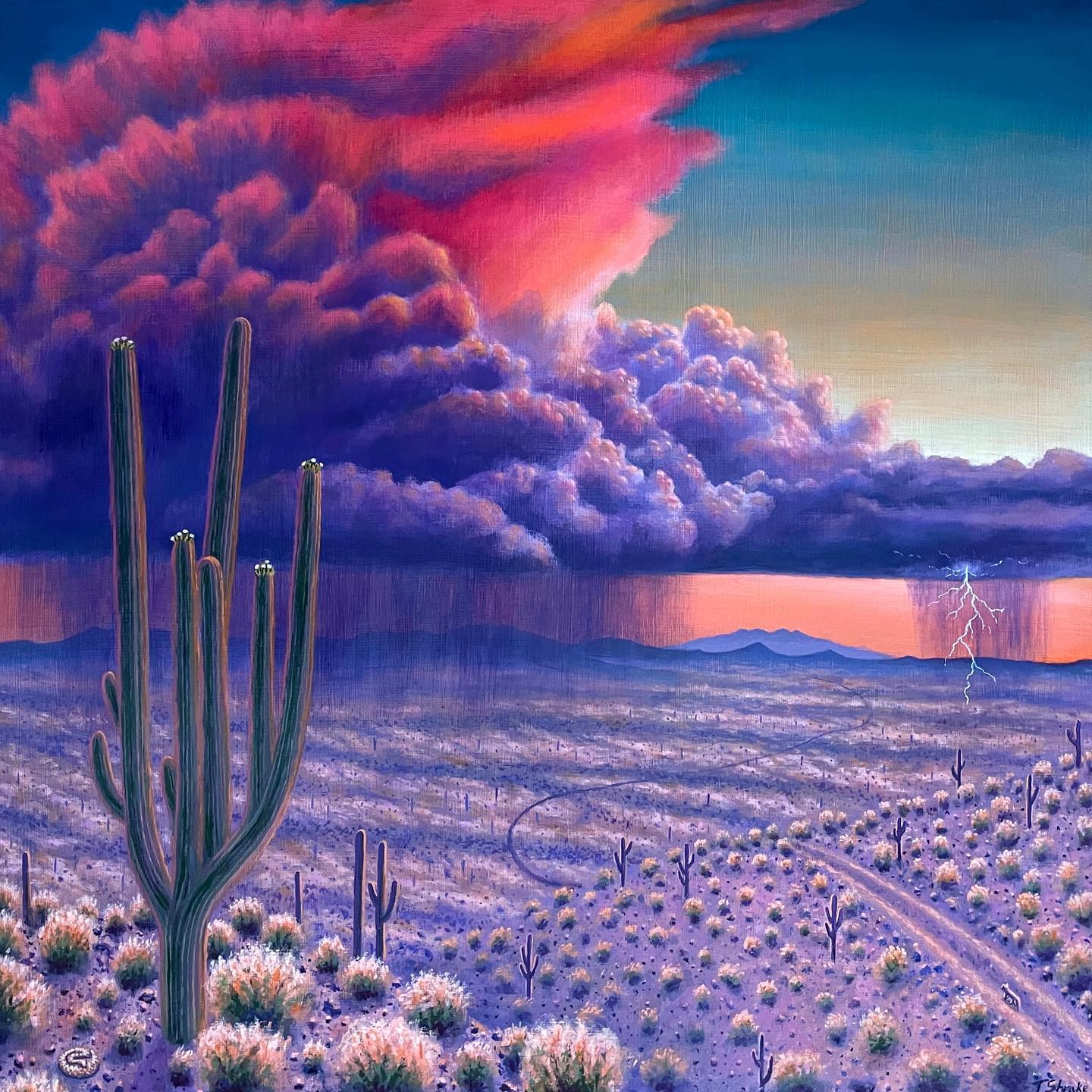 Tyler Shrake Paints