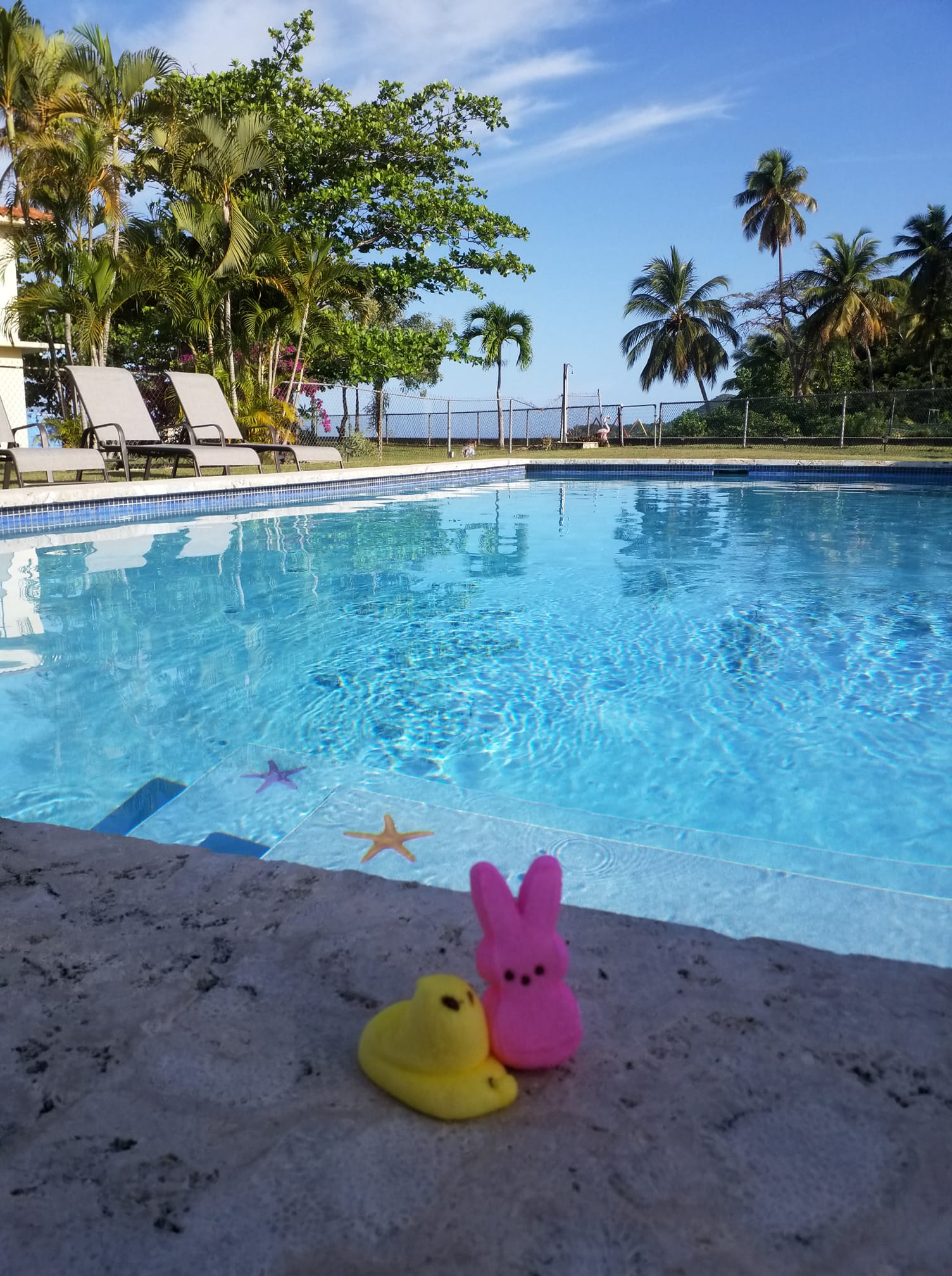 Casa Canal | Rincon