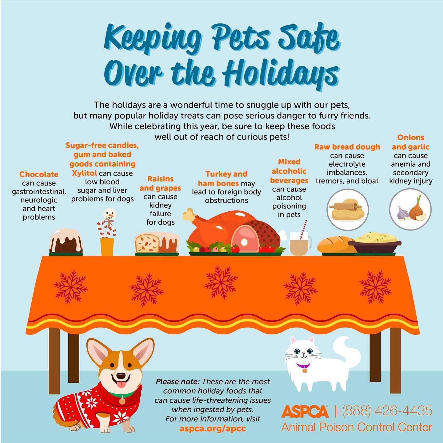 Facebook - Preventing Canine Acetaminophen Poisoning During The Holidays