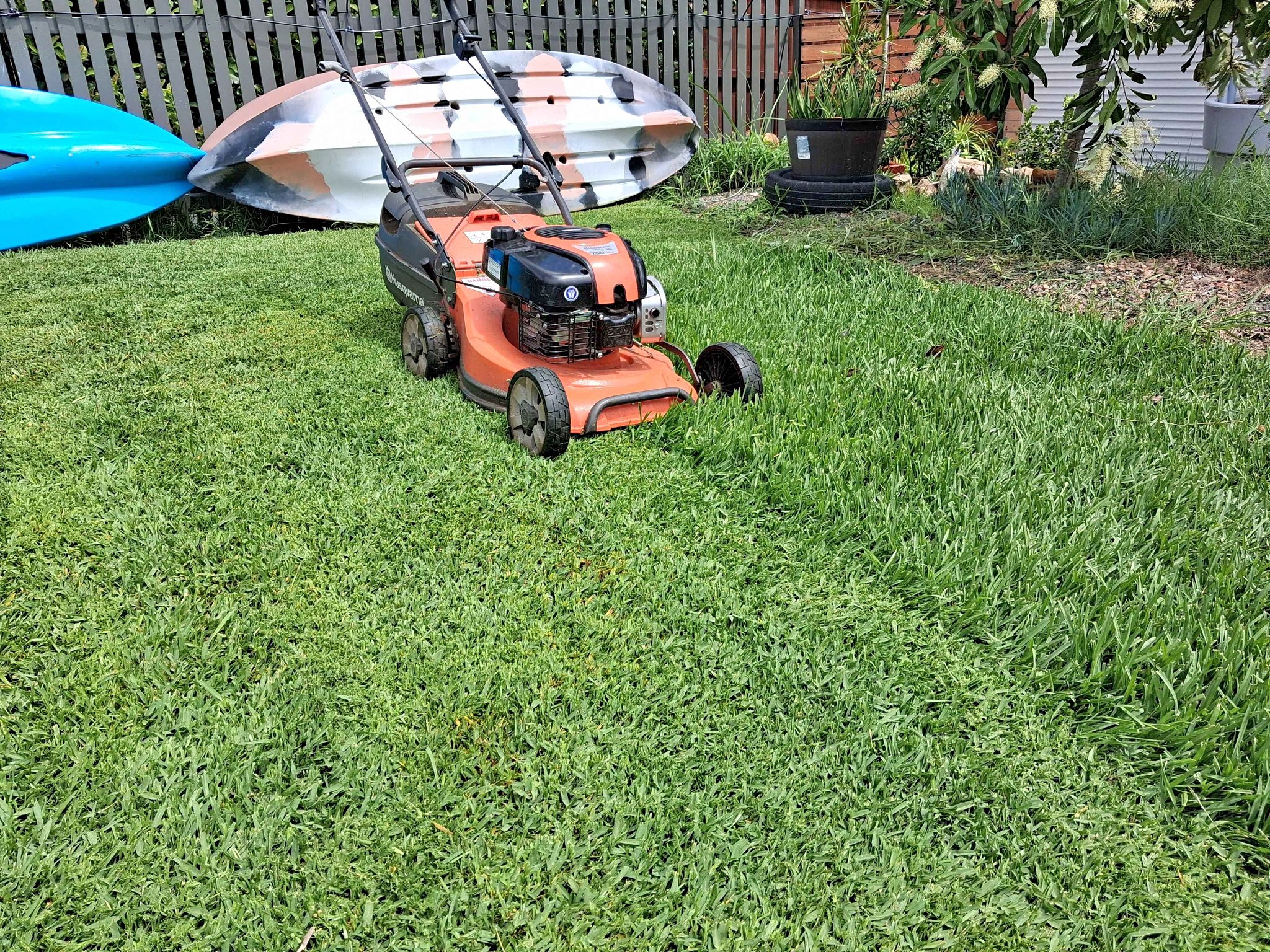 Lawn mow/Stump Griding - Garden Tools & Equipment - West Gosford ...