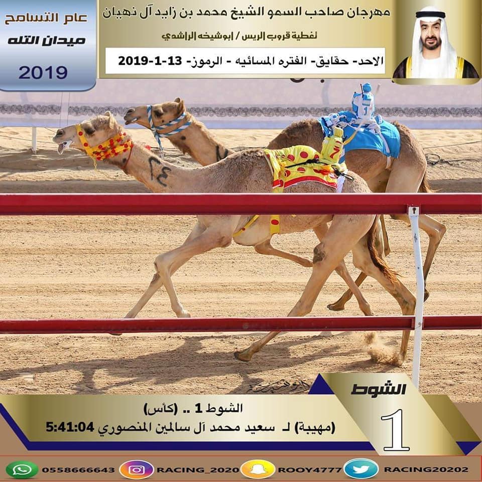 منتدى أخبار الهجن Posts Facebook