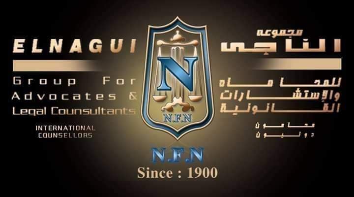 مجموعه الناجى القابضه - ElNagui Group Holding