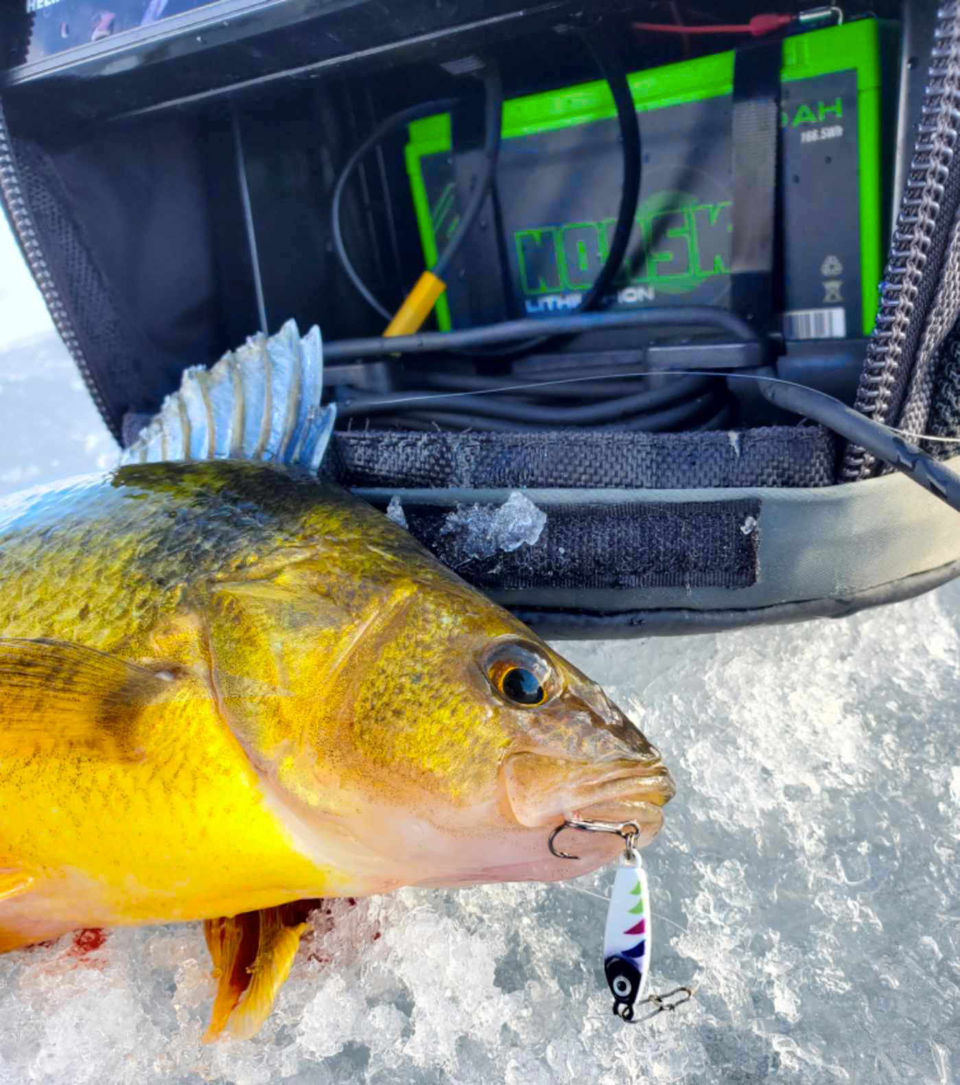 best ice fishing lure for perch Lures Bass Walleye Pike bright fish scales makes the ice fishing jig lures more realistic and attractive Best Lures For Ice Fishing