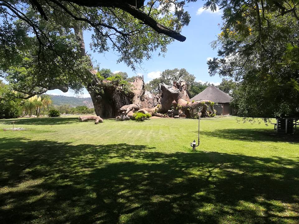 Sunland Baobab | Ga-Kgapane
