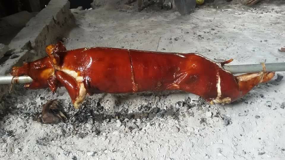 Java's Lechon - Thank you,Chef Rv🐷 #javaslechonbaboy # ...