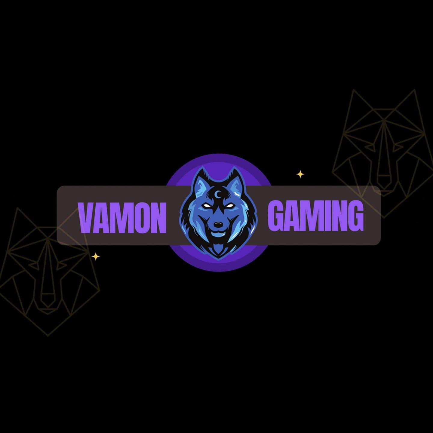 VaMon