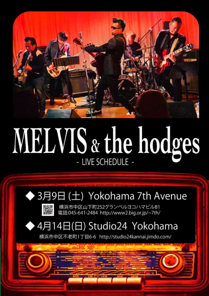 MELVIS