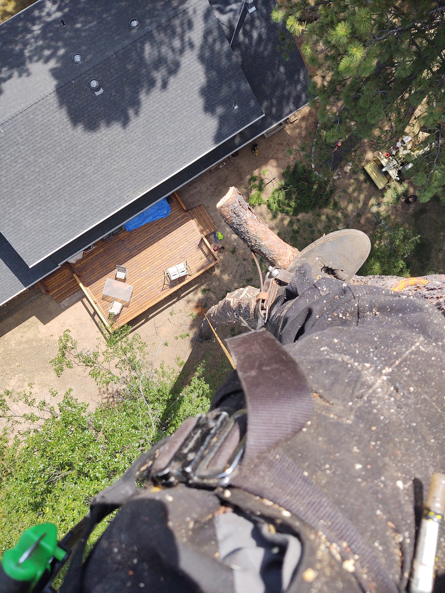 Rope Runners Tree Service