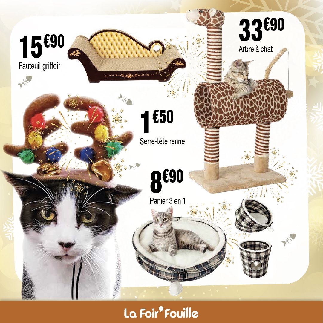 𝗦𝘂𝗽𝗲𝗿 𝗖𝗮𝗱𝗲𝗮𝘂𝘅 𝗣𝗲𝘁𝗶𝘁𝘀 𝗽𝗿𝗶𝘅 La Foir Fouille Guadeloupe Facebook