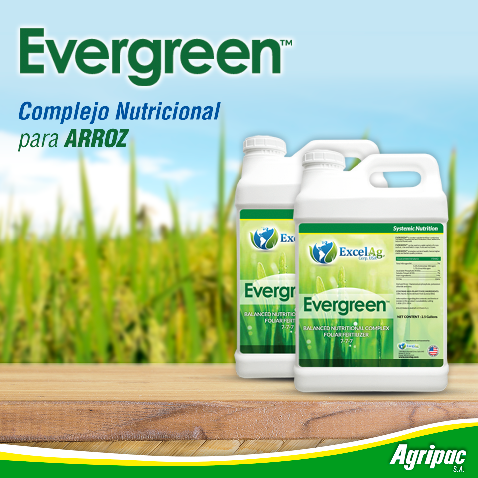Agripac - #EVERGREEN Es un complejo nutricional balanceado y ...