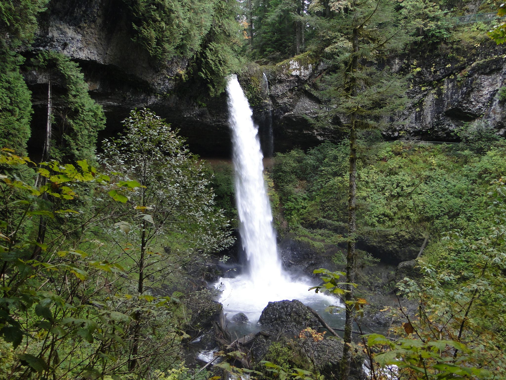 Julia Rice - Estate Planning and Administration | Lake Oswego OR