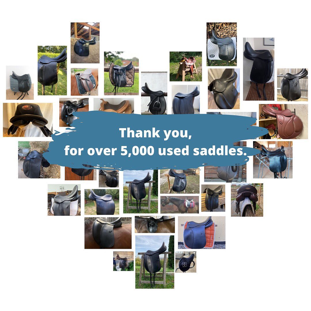 BillyRider.co.uk - Classifieds just for Equestrians - Thank you for ...