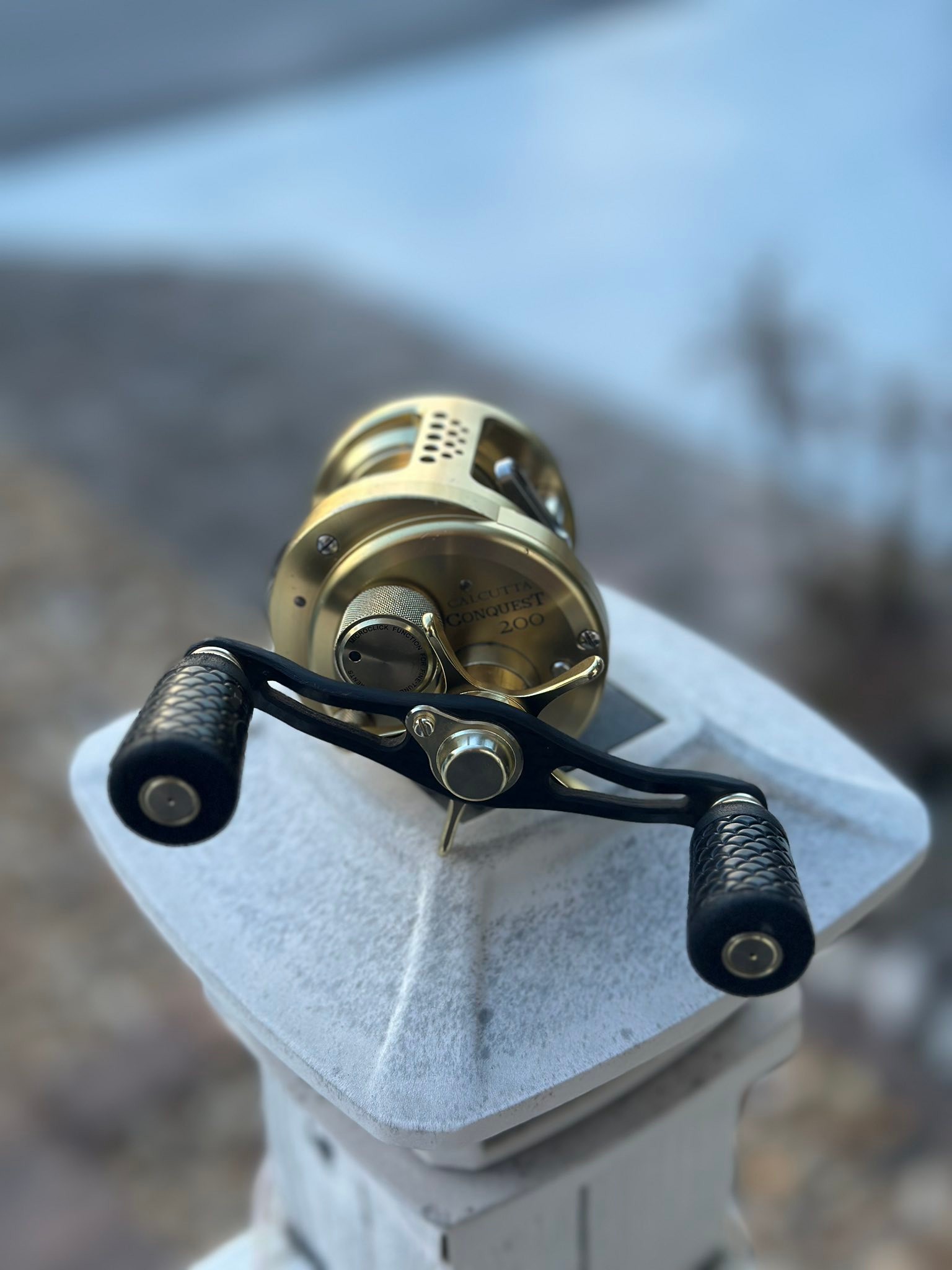 compare the best reel shimano cardiff or shimano calcutta Conquest MD packed offerings for large swimbait anglers looking for power and dependability when targeting trophy Shimano Cardiff Round Baitcast Reel