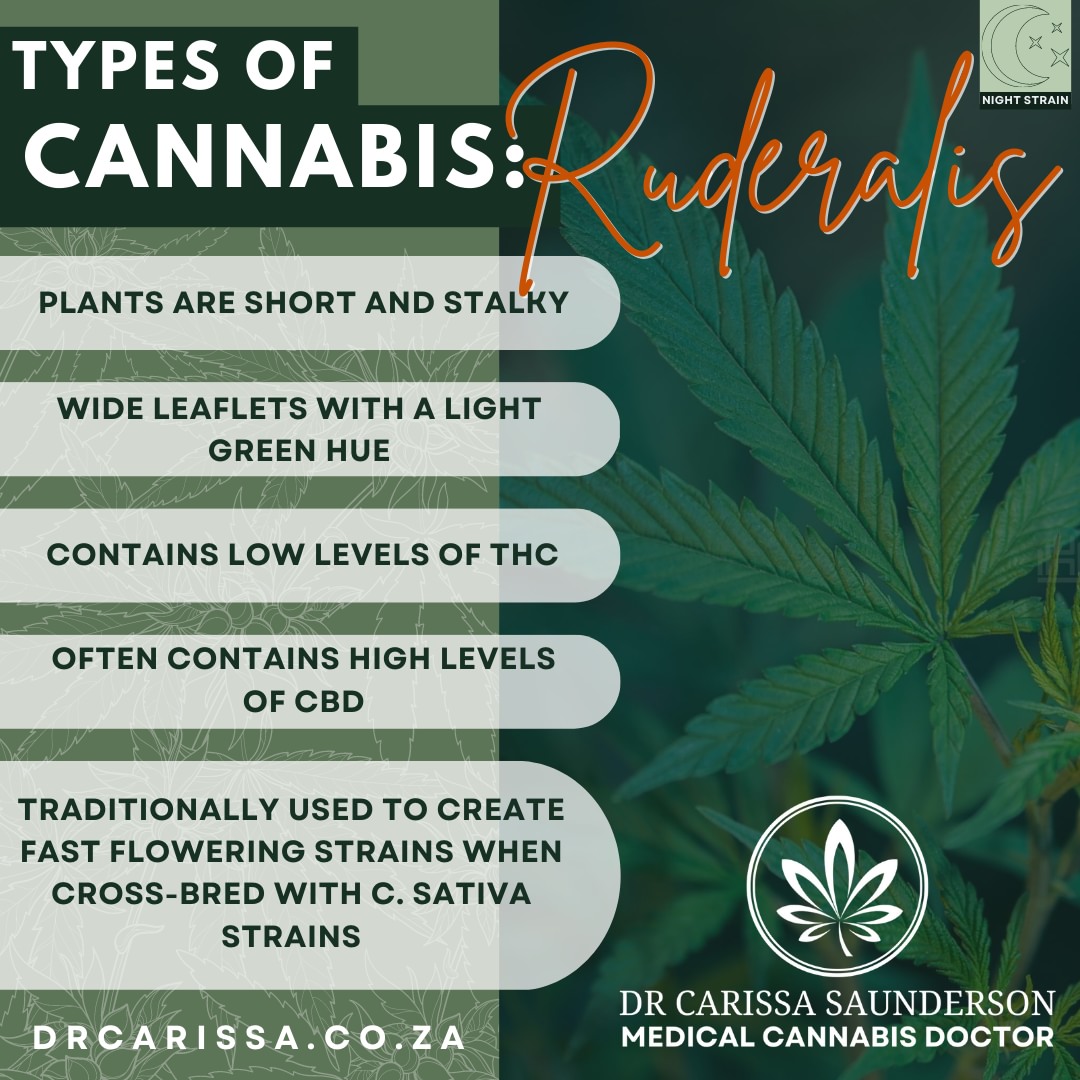 Dr - Ruderalis is a subspecies of the Cannabis plant that is typically ...