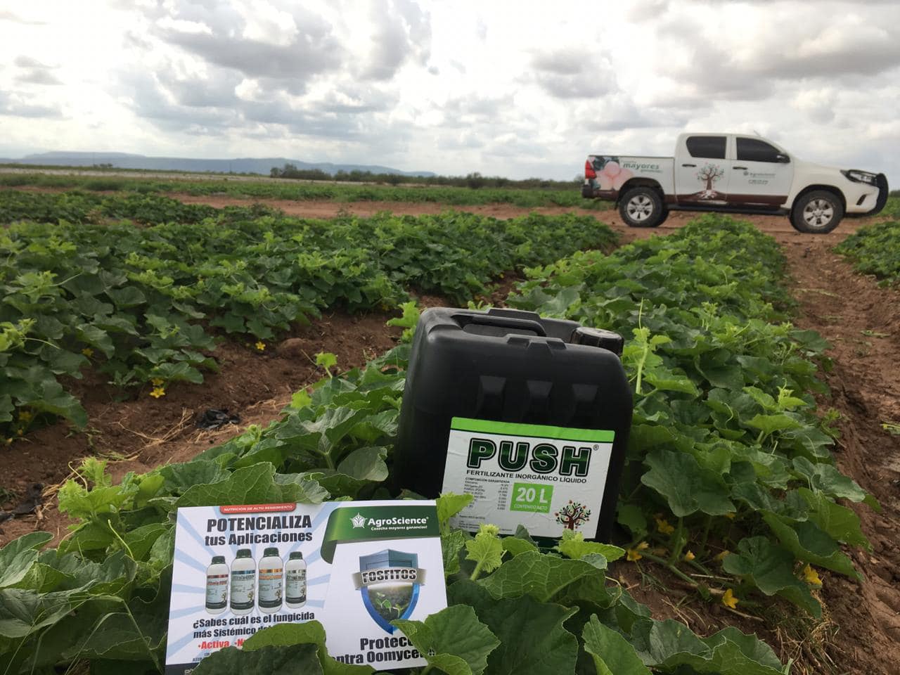 AgroScience - #SabíasQue Push es un pontencializador que...